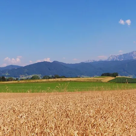 Kreuzerhof 여관