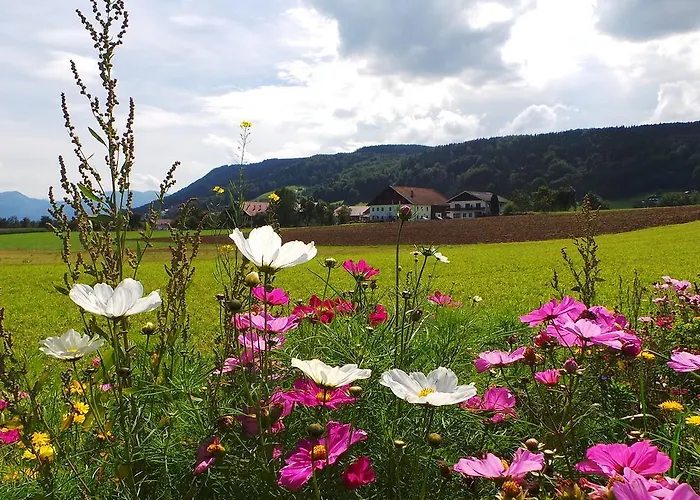 Han/Misafirhane Kreuzerhof