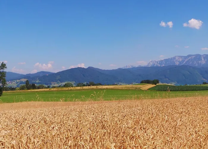 Kreuzerhof Han/Misafirhane